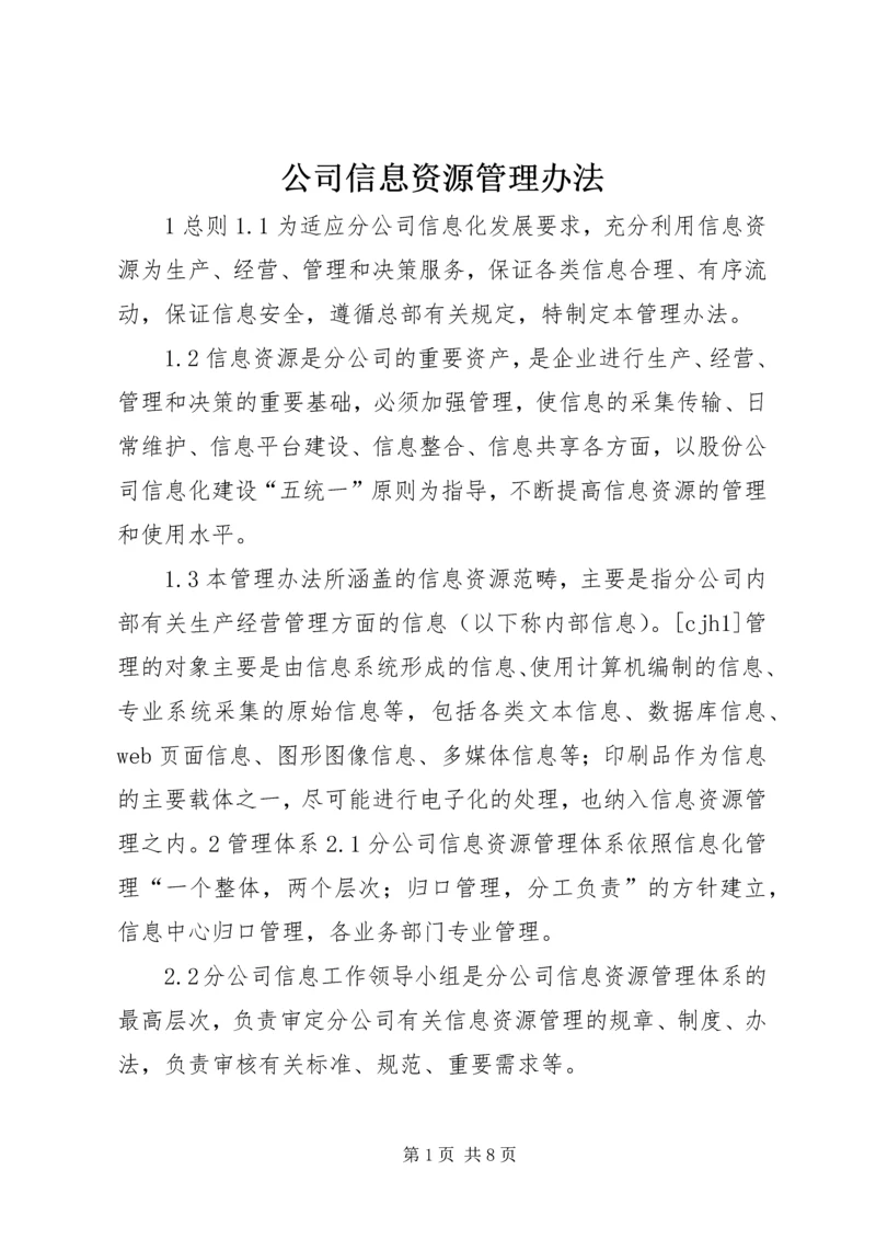 公司信息资源管理办法 (3).docx