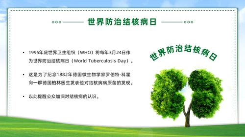 绿色简约世界防治结核病日你我共同努力终结结核流行PPT课件