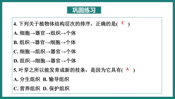 第一单元第三章从细胞到生物体（复习课件）-七年级生物上册同步教学精制课件（人教版2024）(共44张