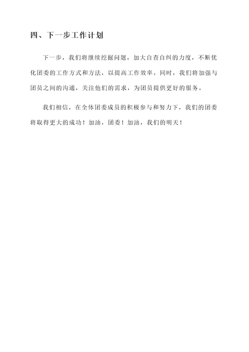 团委自查自纠情况汇报