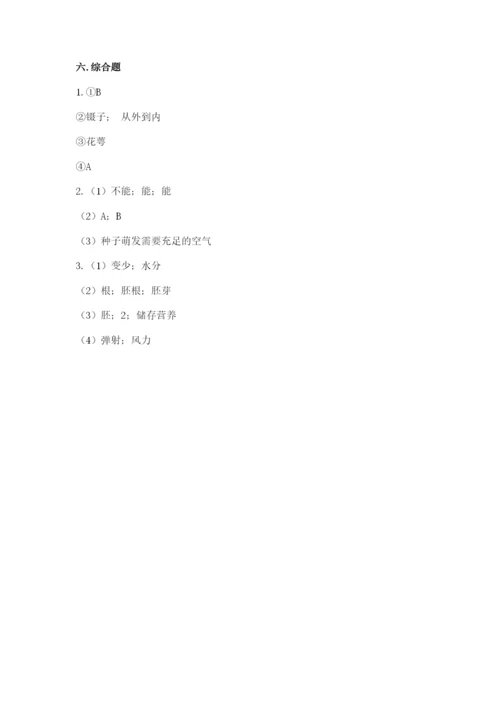 科学四年级下册第一单元《植物的生长变化》测试卷【精华版】.docx