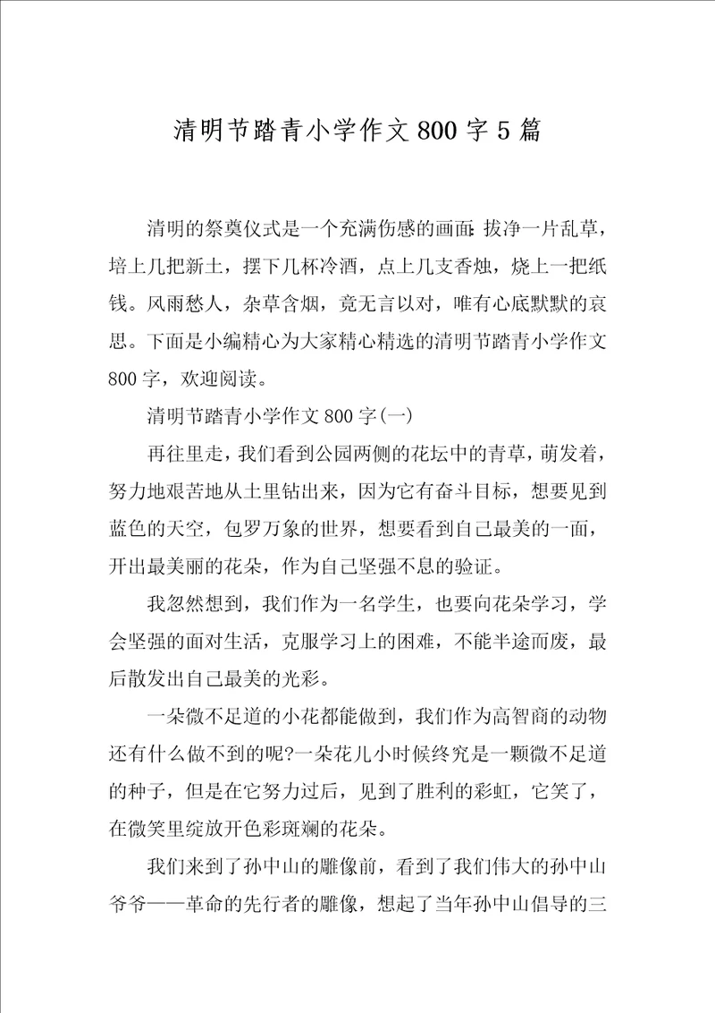 清明节踏青小学作文800字5篇