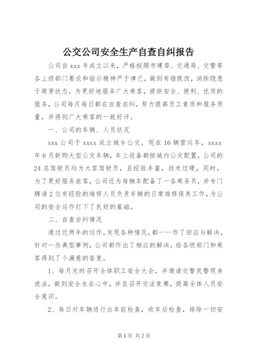 公交公司安全生产自查自纠报告_1.docx