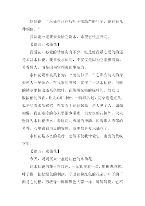 水仙花作文开头.docx