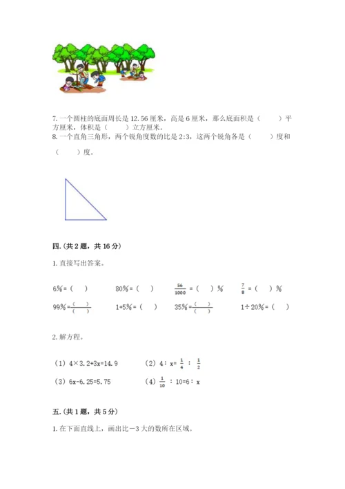 苏教版六年级数学小升初试卷及答案【名师系列】.docx