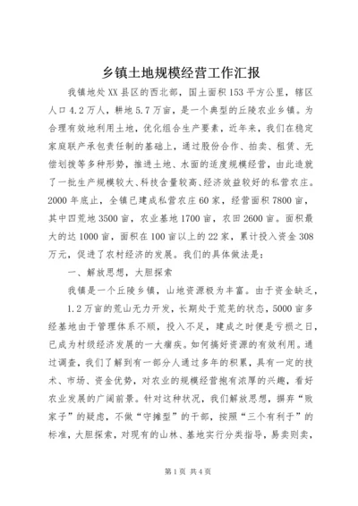 乡镇土地规模经营工作汇报.docx