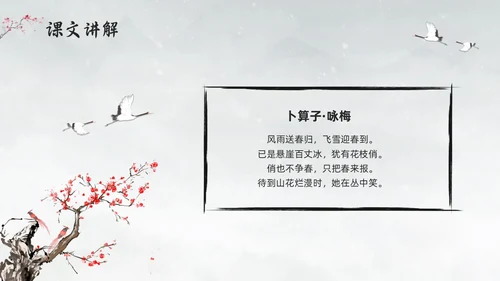浅色水墨部编版六年级语文上册课件卜算子咏梅PPT模板宣传P语文课件