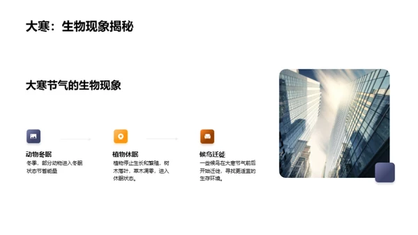 大寒养生之道