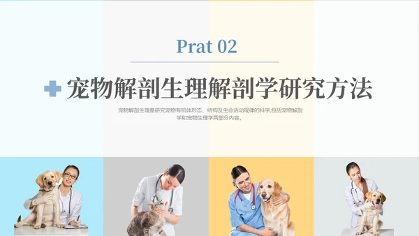 实拍风宠物解剖生理宠物解剖生理讲座PPT