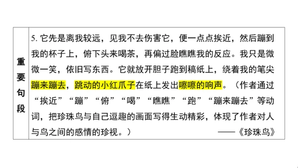 统编版语文五年级上册第一单元核心知识梳理课件