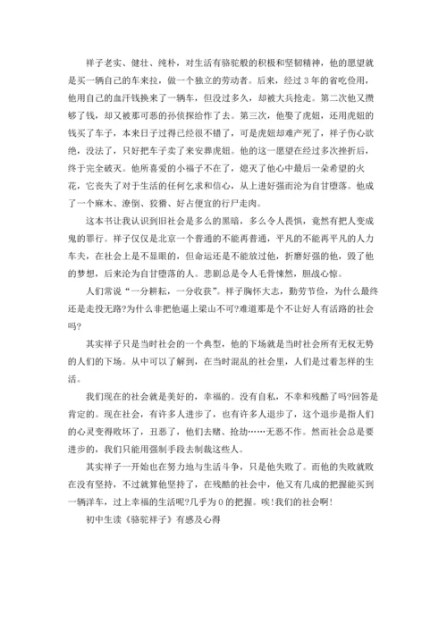 初中生读《骆驼祥子》有感及心得范文.docx