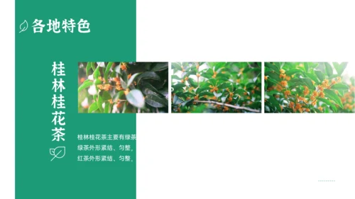 绿色清新风一杯抹茶产品介绍通用PPT模板