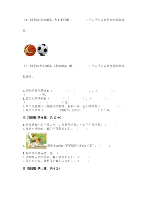 教科版小学科学一年级下册期末测试卷附完整答案【网校专用】.docx