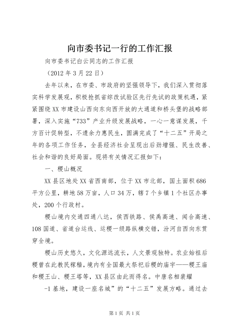 向市委书记一行的工作汇报 (4).docx