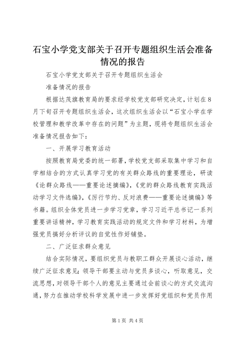 石宝小学党支部关于召开专题组织生活会准备情况的报告 (2).docx