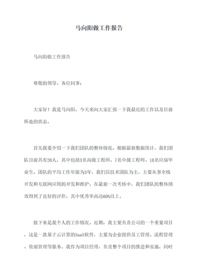 马向阳做工作报告