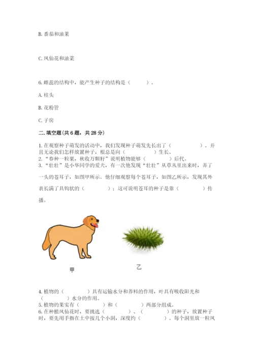 教科版科学四年级下册第一单元《植物的生长变化》测试卷（名师推荐）.docx