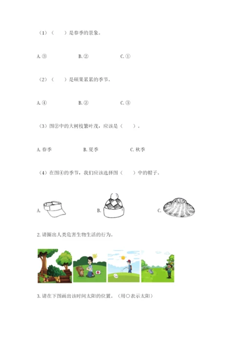 教科版科学二年级上册《期末测试卷》及参考答案（培优a卷）.docx