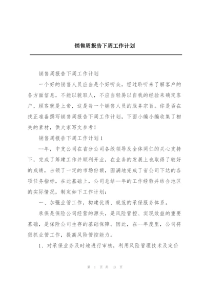 销售周报告下周工作计划.docx