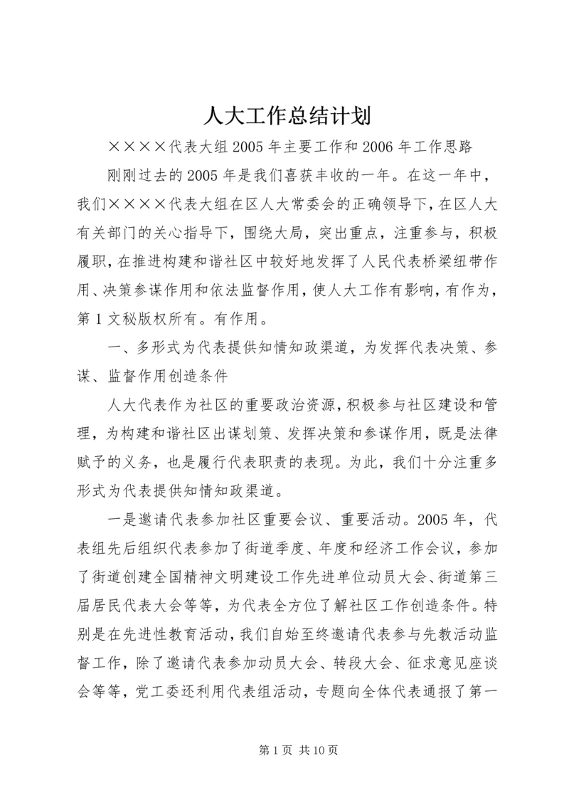 人大工作总结计划.docx