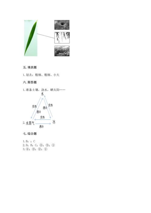 教科版科学一年级上册第一单元《植物》测试卷附完整答案【考点梳理】.docx