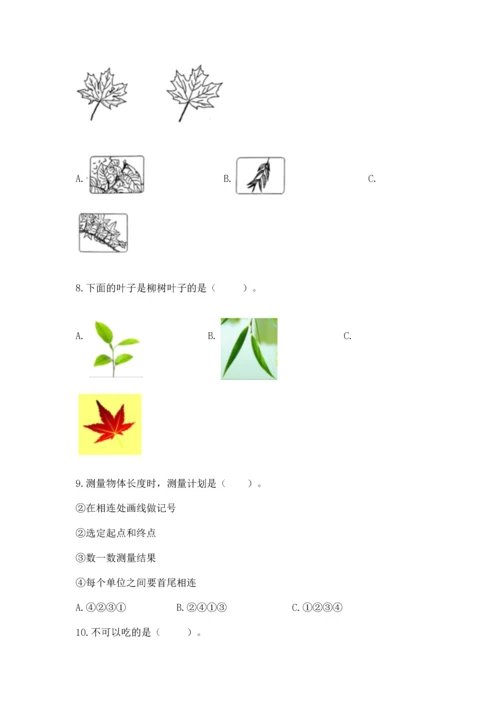 教科版一年级上册科学期末测试卷有完整答案.docx