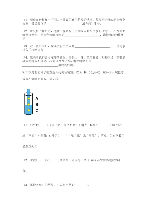 教科版四年级下册科学第一单元《植物的生长变化》测试卷（真题汇编）.docx