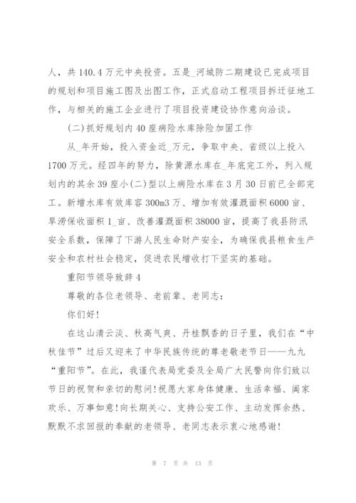 重阳节领导致辞发言.docx