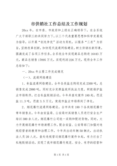 市供销社工作总结及工作规划 (2).docx