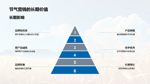 节气营销：小满战略