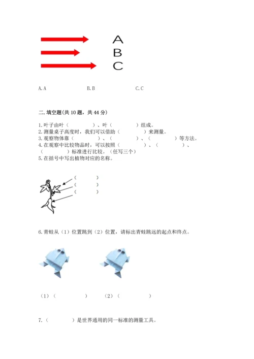 教科版一年级上册科学期末测试卷带下载答案.docx