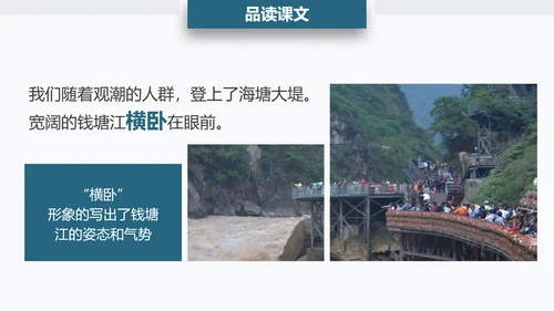 观潮钱塘江小学语文PPT课件