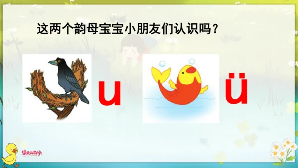 汉语拼音2  i  u  ü  y  w 课件