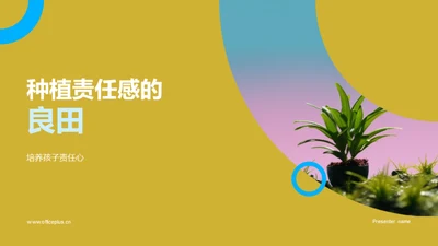 种植责任感的良田