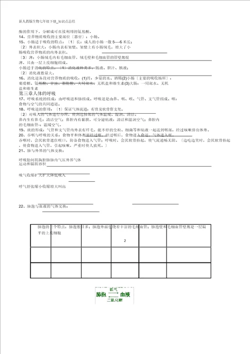 新人教生物七年级下册知识点总结计划