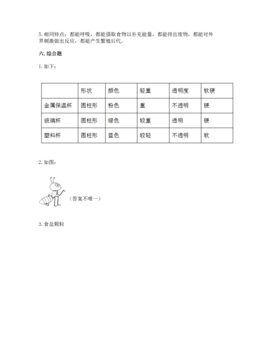 教科版一年级下册科学期末测试卷带精品答案.docx