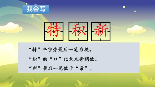 部编版二年级下册第六单元整合写字课 课件