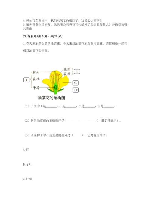 科学四年级下册第一单元植物的生长变化测试卷（有一套）.docx