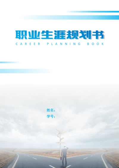 13页5000字国际邮轮乘务专业职业生涯规划.docx