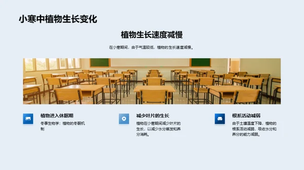 探寻小寒的科学奥秘