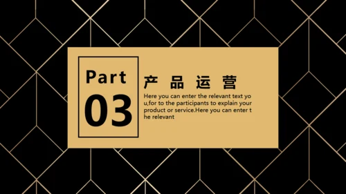 BUSIESS PLAN 商业融资计划书通用PPT模板