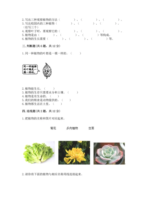 教科版科学一年级上册第一单元《植物》测试卷带答案（典型题）.docx