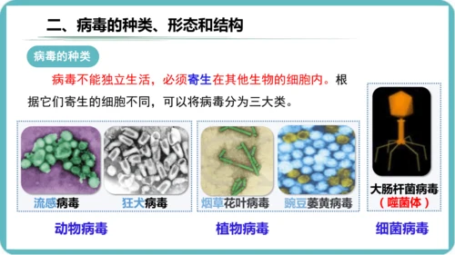 人教版生物七年级上册2.3.4《病毒》课件(共19张PPT)+视频素材