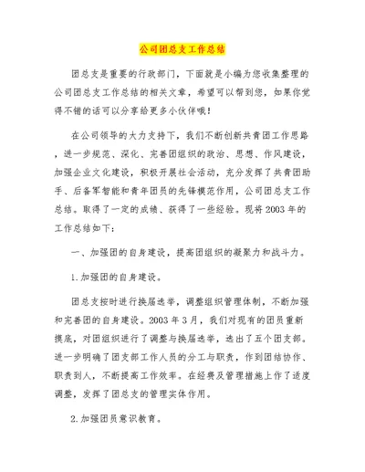 公司团总支工作总结