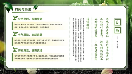 绿色系传统文化二十四节气谷雨主题PPT模板