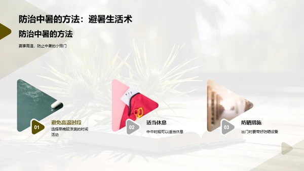 大暑生活指南