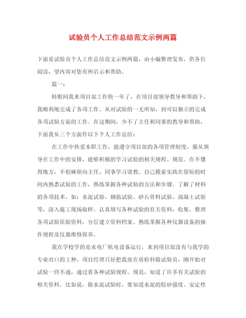 精编之试验员个人工作总结范文示例两篇.docx