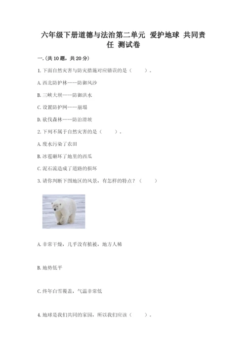六年级下册道德与法治第二单元 爱护地球 共同责任 测试卷新版.docx