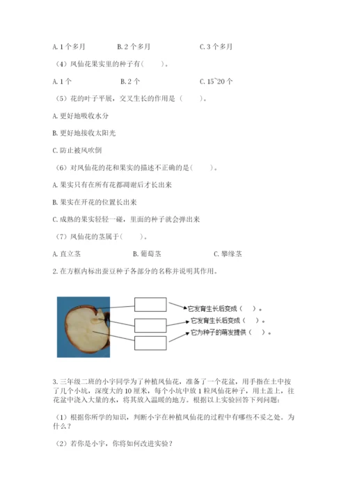 科学四年级下册第一单元《植物的生长变化》测试卷（word）.docx