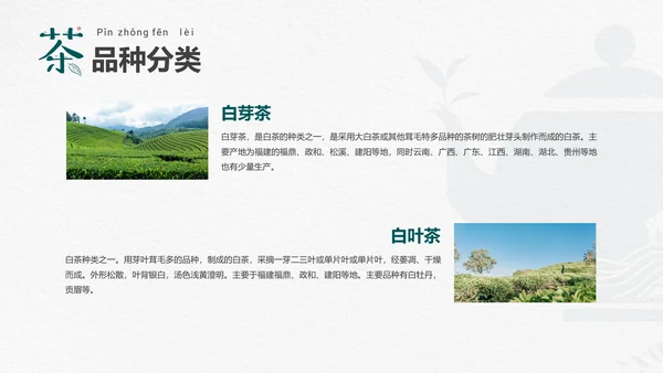 品茶论道茶艺茶道文化PPT模板